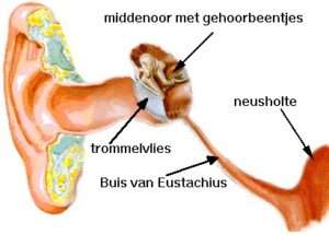 Tubadysfunctie | kno.amsterdam | 020-6 346 212